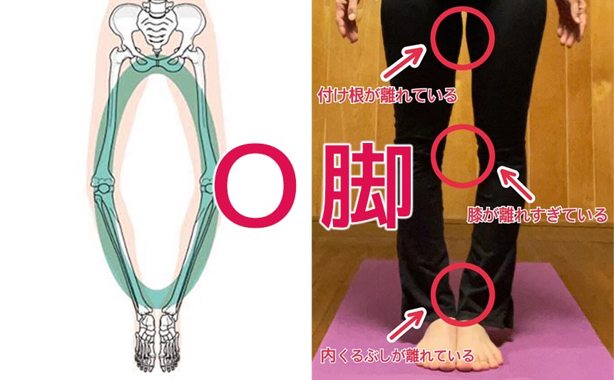 仕組みを知ればくっつく！O脚改善ヨガポーズ 【SUAY-LABO】SUAY YOGA-studio